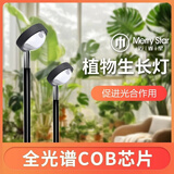 迈睿星 全光谱植物补光灯仿太阳室内专用养多肉上色家用落地绿植生长灯 10W【1.6m】全光谱4000k手动开关