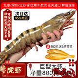 鲜承 超大黑虎虾越南进口 生鲜超市虾类 活冻大虾老虎虾海鲜礼盒 【特大虾皇 2只装】 800g(净重)