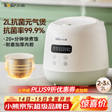 小熊（Bear）电饭煲2~3人 家用迷你小容量电饭锅 2L智能快煮饭多功能智能预约煮粥锅微压煮饭锅 DFB-Q20B2