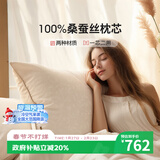 钱皇芯芯相印枕芯100%桑蚕丝 全棉面料蚕丝净重2斤  48*75cm 单只