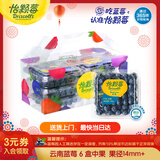 怡颗莓Driscoll's云南蓝莓14mm+ 6盒装 约125g/盒  水果年货礼盒