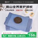 蜀国御 5斤装全荞麦皮颈椎硬枕头夏天舒适睡眠成人枕单人配棉枕套海洋蓝