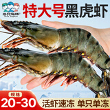三只海豚黑虎虾特大号 净重2斤 20/30规格 烧烤大虾 生鲜虾类 年货送礼