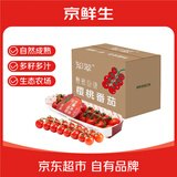 京鲜生 精品串收樱桃小番茄198g*8条 自然熟水果西红柿源头直发