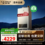 史密斯（A.O.SMITH）16升精钢燃气热水器  1级静音 恒温大水量 抗风防冻 JSQ31-TEW 更安全更安静 以旧换新