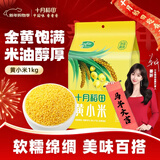 十月稻田  黄小米1kg 杂粮  黄米农家粥米粟米