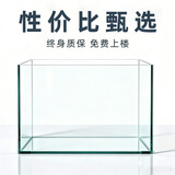 坤宁王玻璃鱼缸家用小型桌面裸缸生态缸造景客厅溪流缸乌龟缸40*23*25cm