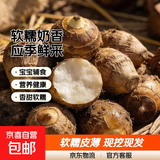 山东牛奶芋头软糯来京东蔬菜应季蔬果香芋芋头小果20g-40g 牛奶小芋头500g