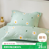 艾薇水洗棉磨毛枕头套一对枕芯套枕套 小香绿 48*74cm