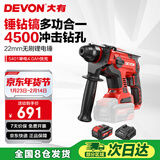 大有（Devon）20V工业级无刷充电锂电电锤5401打混凝土电镐开凿4.0Ah单电快充