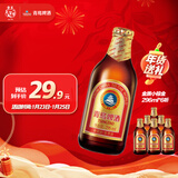 青岛啤酒（TsingTao）精酿系列 金质小棕金低温酿造296ml*6瓶 年货送礼