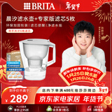 碧然德（BRITA）过滤净水器 家用滤水壶 Kalea 晨汐系列XL  3.5L（灰）+专家版滤芯5枚 环保加固包装