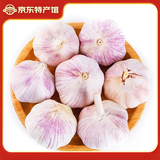 仙果春天精打细蒜 新鲜生鲜蔬菜多瓣大蒜头无添加正宗 干蒜中果250g