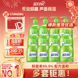 蓝月亮洗手液抑菌99.9%300g*12瓶整箱 芦荟泡沫丰富儿童办公室商用7.2斤