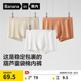 蕉内银皮300S男士平角内裤运动透气10A抗菌纯棉短裤头情人节礼物盒3件
