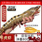 鲜承 超大黑虎虾越南进口 生鲜超市虾类 活冻大虾老虎虾海鲜礼盒 【特大虾皇 4只装】 800g(净重)