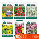 北蔬 花草花卉种子种苗四季种好养室内外盆栽花种籽 6种花草种子组合