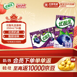 伊利优酸乳蓝莓味250ml*24盒/箱乳饮料 牛奶饮品年货礼盒装