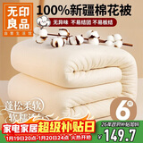 无印良品100%新疆棉花被子棉絮盖被棉花胎双人春秋冬季棉被芯6斤200x230cm