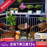 紫叶（ziye） 户外桌椅 藤椅组合 阳台桌椅三件套 休闲庭院小茶几室外藤编餐桌 2【升级藤椅】+1【D58圆桌】