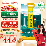 十月稻田 2025年新米 寒地之最 五常大米 10斤（东北大米 香米 十斤）