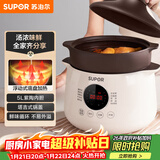 苏泊尔（SUPOR）电炖锅电炖盅 电砂锅煲汤锅 炖汤锅 燕窝炖锅 紫陶锅电汤锅煮粥神器 电煮锅家用DG50YC851多功能锅