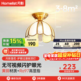 月影护眼过道玄关吸顶灯美式简约大气led入户过道灯黄铜照明中山灯具 7W 8㎡内适用 420lm 三色调光