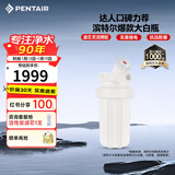 滨特尔（pentair）大白瓶前置过滤器 全屋家用自来水过滤器 前置净水器大蓝瓶 中央净水机大流量大胖瓶高精度 【10寸大白瓶】包安装