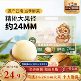 三只松鼠夏威夷果500g/袋 坚果炒货干果约24-26mm大果休闲零食送礼 