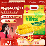 十月稻田 黄甜糯玉米 8根 3.52斤 真空包装 东北粘玉米棒 低脂早餐