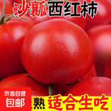 正宗攀枝花沙瓤西红柿露天生吃粉果番茄新鲜采摘非普罗旺斯西红柿 净重【小果50-80克】 3斤