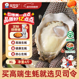 贝司令 鲜活乳山生态生蚝XL 净重4斤 16-22只 生鲜源头直发年货送礼