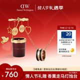 丹尼尔惠灵顿（DanielWellington）dw项链男 曜目黑+玫瑰金撞色锁骨链情侣款情人节礼物送男友DW305