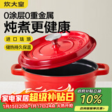炊大皇珐琅锅铸铁锅家用炖锅砂锅汤锅焖烧锅电磁炉燃气煮锅22cm