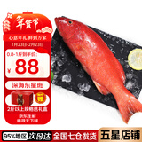 鲟食 海捕东星斑鱼 新鲜冷冻深海石斑鱼生鲜鱼类年货送礼佳品 海捕东星斑 净重850-1000g/条