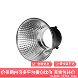 永诺（YONGNUO） YN LUX100 PRO手持外拍灯摄影灯120W手持外拍灯 龙鳞反光罩（增量）