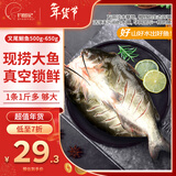 钓鱼记斑点叉尾鮰鱼1斤-1.3斤 二去净重 冷冻 烤鱼红烧烤生鲜 年货送礼