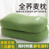 恋鸣全荞麦皮壳枕头护颈椎助睡眠成人硬枕芯一对单只决明子小整头午睡 韩式砂洗简约磨毛款-浅绿色 48*26cm/单只装