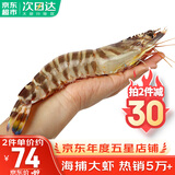 哆鲜生 海捕竹节虾 野外生长活冻国产斑节虾大花对虾九节竹节鬼虾虾类 竹节虾 特大号 5-6条 300g(净重)