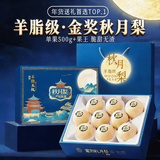 甜萌果蔬山东秋月梨 新鲜水果冰糖梨 送人送礼当季水果年货送礼盒 3斤甄选装【约3-5个】净重2.5斤