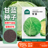 北蔬 甘蓝种子苗卷心菜包菜圆白菜大头菜春季蔬菜种籽 甘蓝种子500粒