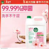 滴露（Dettol）洗手液补充装大桶消毒滋润5L 儿童家庭装杀菌护手