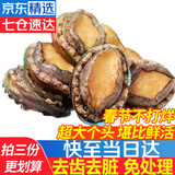 优牧冠 冷冻大鲍鱼 10头鲍 堪比活鲍 9分熟冻锁鲜 年货送礼 【三去免处理】熟冻锁鲜10只装*1袋净重500g