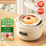 小质电炖锅电炖盅炖汤煲汤燕窝隔水陶瓷煮粥小型婴儿宝宝辅食锅一人多功能锅 DG01