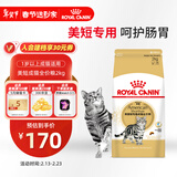 皇家猫粮 美短成猫粮 ASA31 通用粮 12月以上 2KG