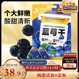 三只松鼠每日蓝莓干500g 蜜饯果干酸甜休闲零食下午茶孕妇儿童健康零食