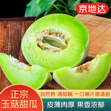 京地达山东冰淇淋玉菇甜瓜净重2斤单果1000g+新鲜年货节水果源头直发