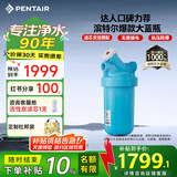 滨特尔（pentair）大白瓶前置过滤器 全屋家用自来水过滤器 前置净水器大蓝瓶 中央净水机大流量大胖瓶高精度 【10寸大蓝瓶】包安装