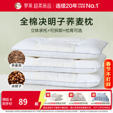 罗莱家纺枕头枕芯单人成人枕床上决明子荞麦呵护枕 草本枕花草枕 全棉决明子荞麦中枕-单只装 46cm*72cm