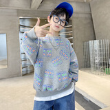 艾诺轮男孩卫衣中大童装10-15岁中小学儿童秋衣长袖上衣男童春秋天装T恤 X蓝色卫衣(不加绒春秋款) 140 适合身高130厘米-140厘米